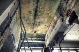 Best Residential Mold Inspection & Testing  in Cudahy, CA